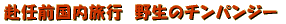 ���C�O�C�������s�@���̂P