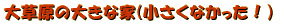 ���C�O�C�������s�@���̂P