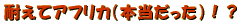 ���C�O�C�������s�@���̂P