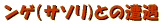 ���C�O�C�������s�@���̂P