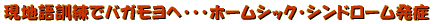 ���n��P���Ńo�K�����ցE�E�E�z�[���V�b�N�E�V���h���[������