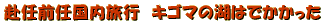 ���C�O�C�������s�@���̂P