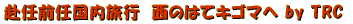 ���C�O�C�������s�@���̂P