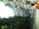 358�Ԃ̎ʐ^