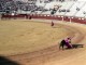 hp_esp0185.jpg
